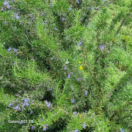 Da Tommy Bed & Breakfast Alseno