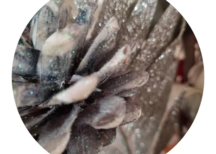 Da Tommy Bed & Breakfast Alseno