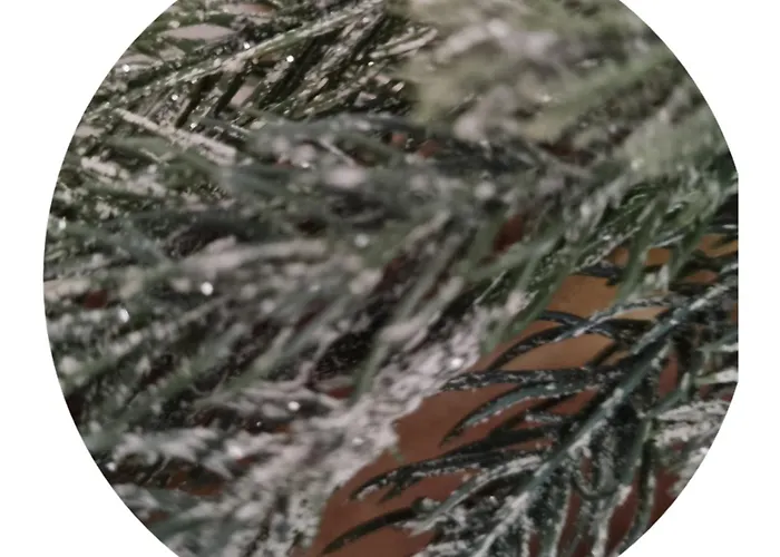 Da Tommy Bed & Breakfast Alseno